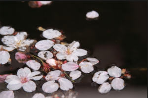 Book1_23122_image001